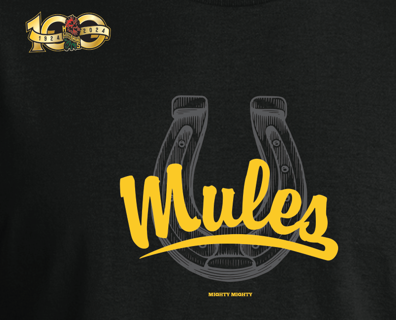 Lucky Horse Shoe Shirt UNISEX